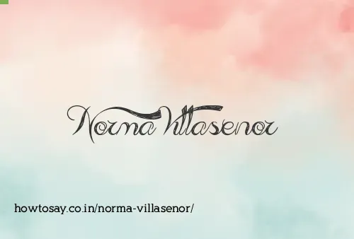 Norma Villasenor