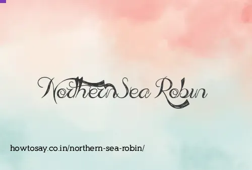 Northern Sea Robin