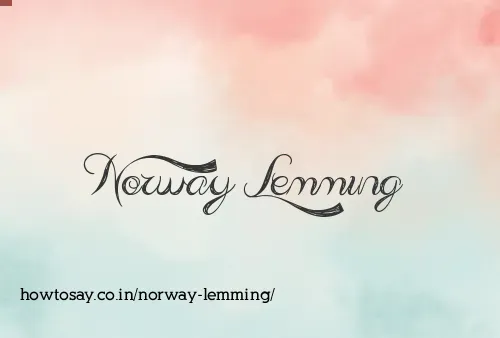 Norway Lemming