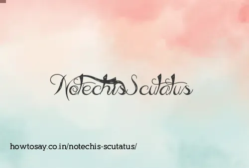 Notechis Scutatus