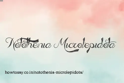 Notothenia Microlepidota