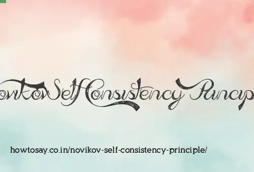 Novikov Self Consistency Principle
