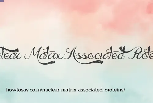 Nuclear Matrix Associated Proteins