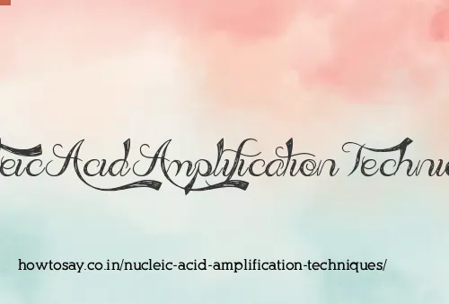 Nucleic Acid Amplification Techniques