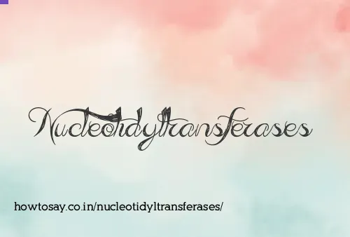 Nucleotidyltransferases