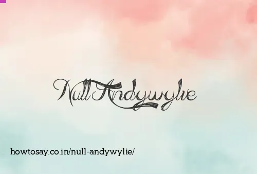Null Andywylie