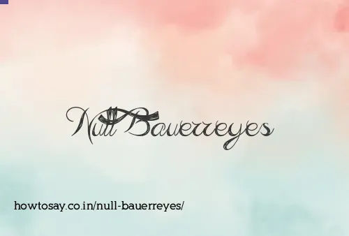 Null Bauerreyes
