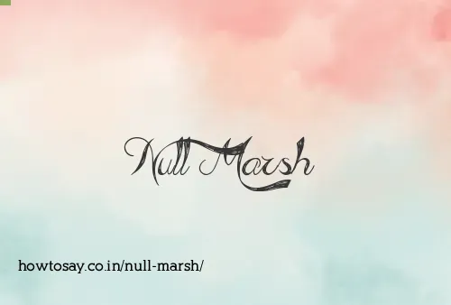 Null Marsh