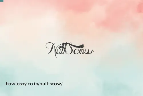 Null Scow