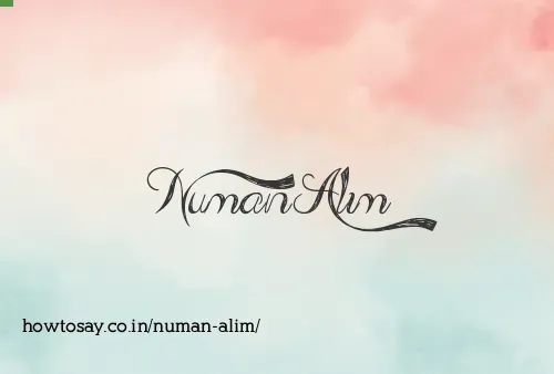 Numan Alim