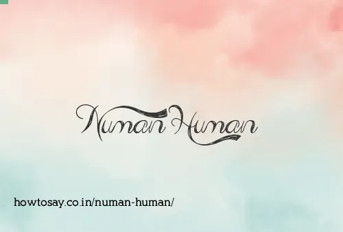 Numan Human