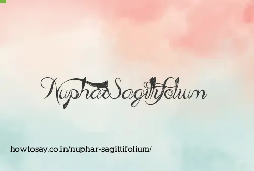Nuphar Sagittifolium