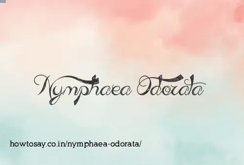 Nymphaea Odorata