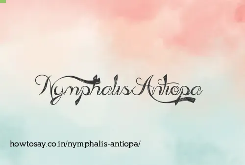 Nymphalis Antiopa