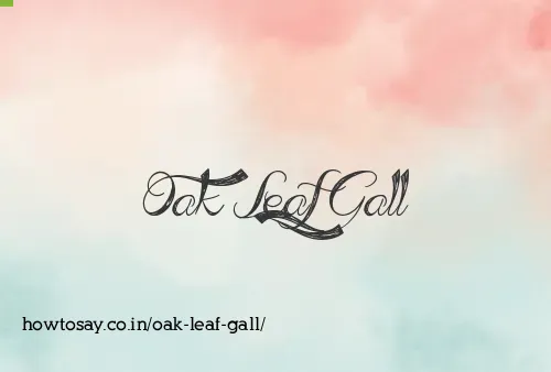 Oak Leaf Gall