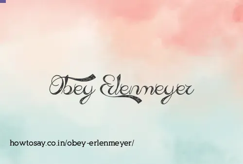 Obey Erlenmeyer