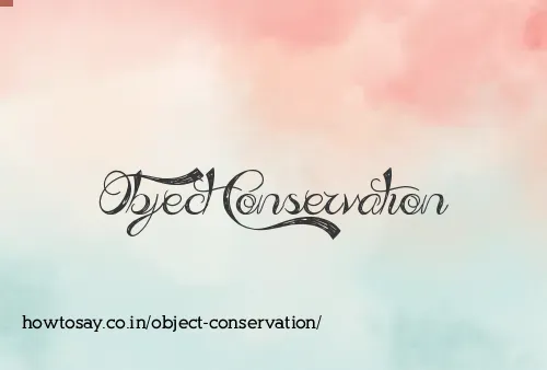 Object Conservation