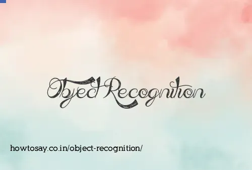 Object Recognition