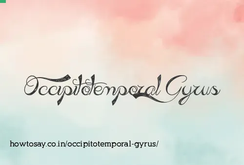Occipitotemporal Gyrus