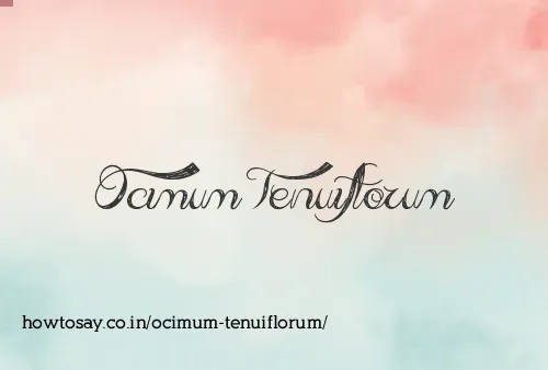 Ocimum Tenuiflorum