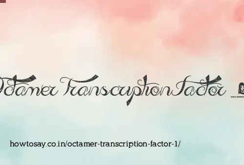 Octamer Transcription Factor 1