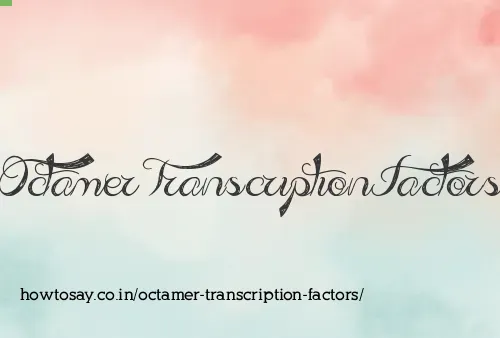 Octamer Transcription Factors
