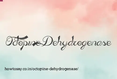 Octopine Dehydrogenase