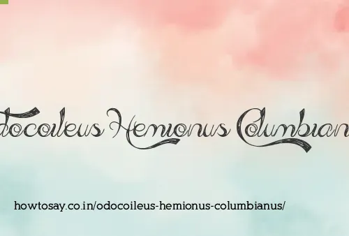 Odocoileus Hemionus Columbianus