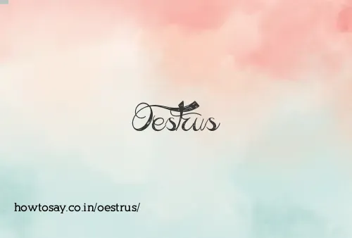 Oestrus