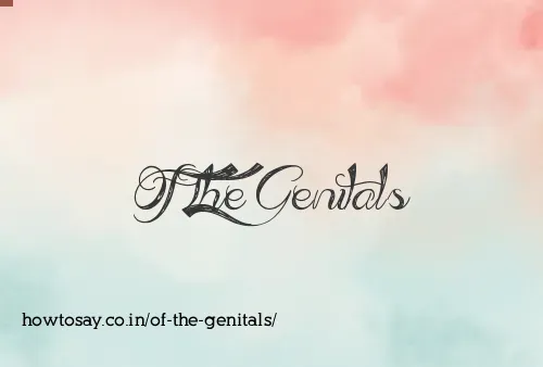 Of The Genitals