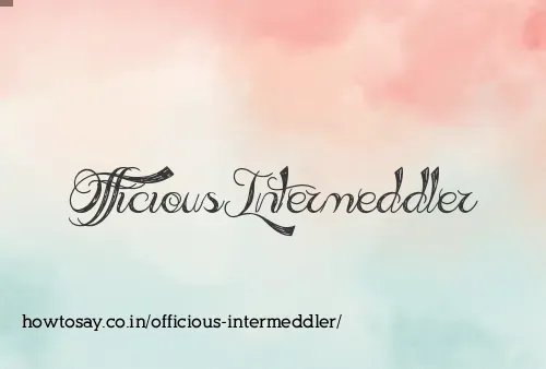 Officious Intermeddler
