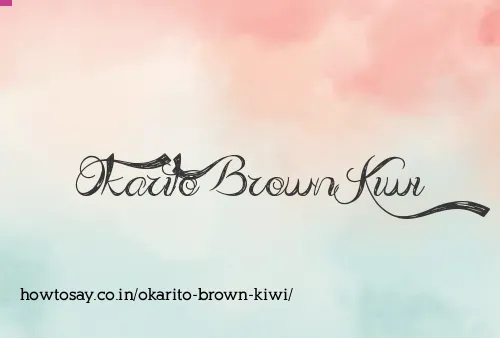 Okarito Brown Kiwi