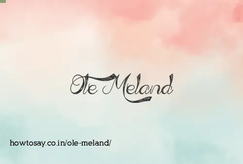 Ole Meland