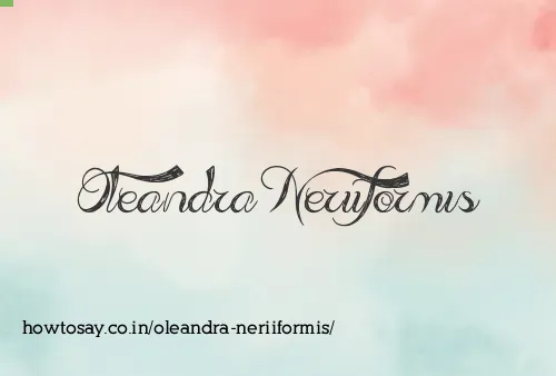 Oleandra Neriiformis