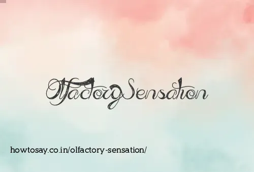 Olfactory Sensation