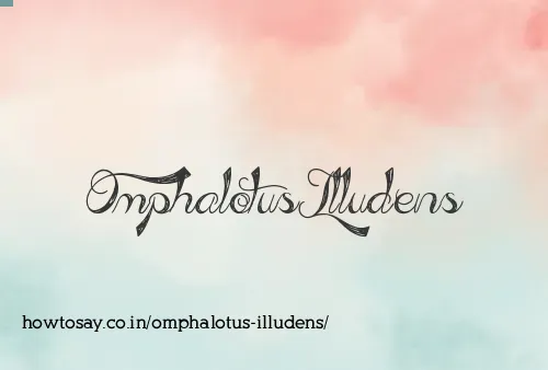 Omphalotus Illudens
