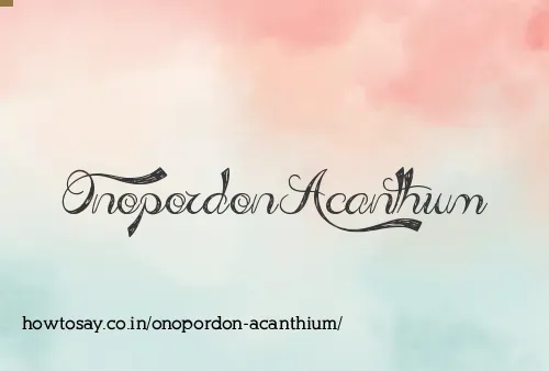Onopordon Acanthium