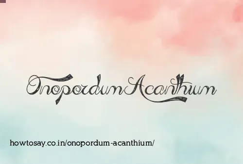 Onopordum Acanthium
