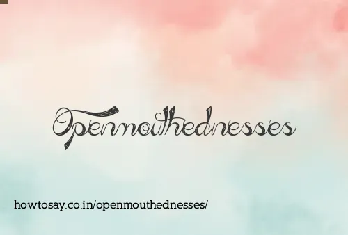 Openmouthednesses