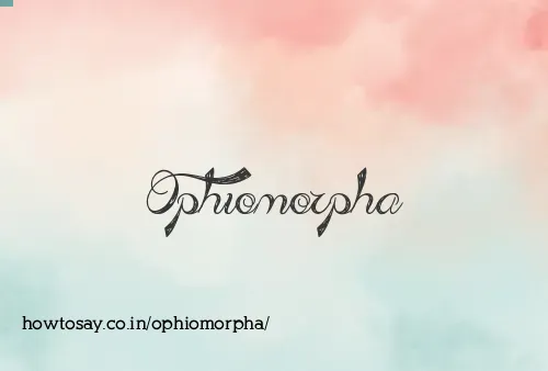 Ophiomorpha