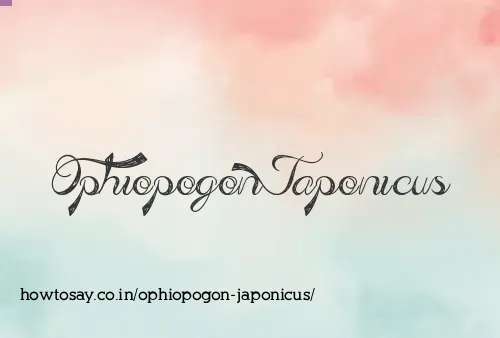 Ophiopogon Japonicus