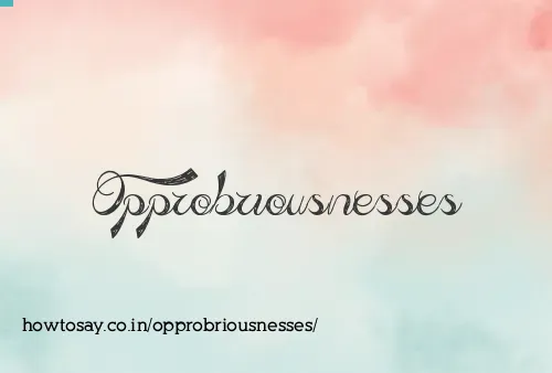 Opprobriousnesses