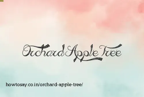 Orchard Apple Tree
