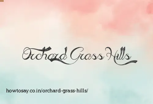 Orchard Grass Hills