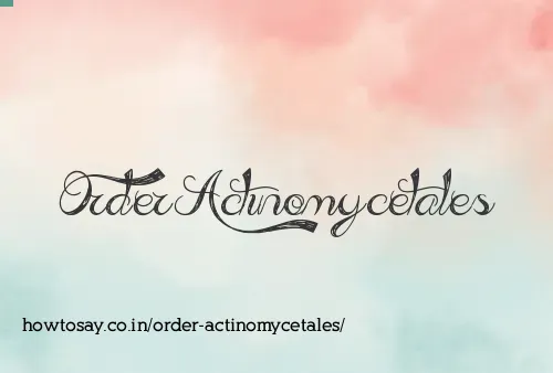 Order Actinomycetales