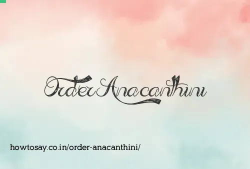 Order Anacanthini