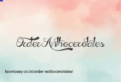 Order Anthocerotales