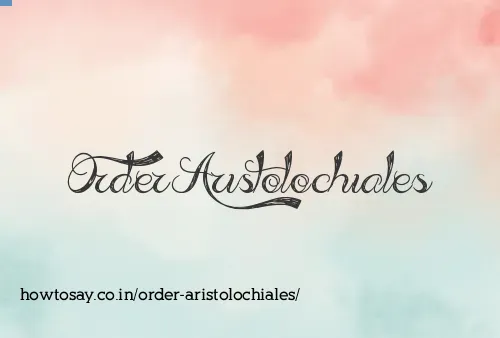 Order Aristolochiales
