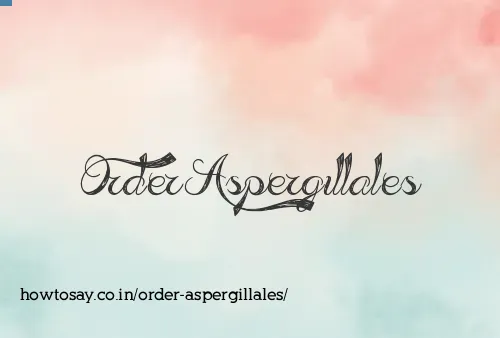 Order Aspergillales