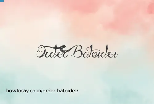 Order Batoidei
